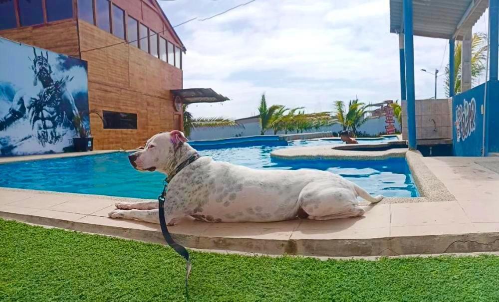 Hostal Tropicoco Hotel Playas Buitenkant foto
